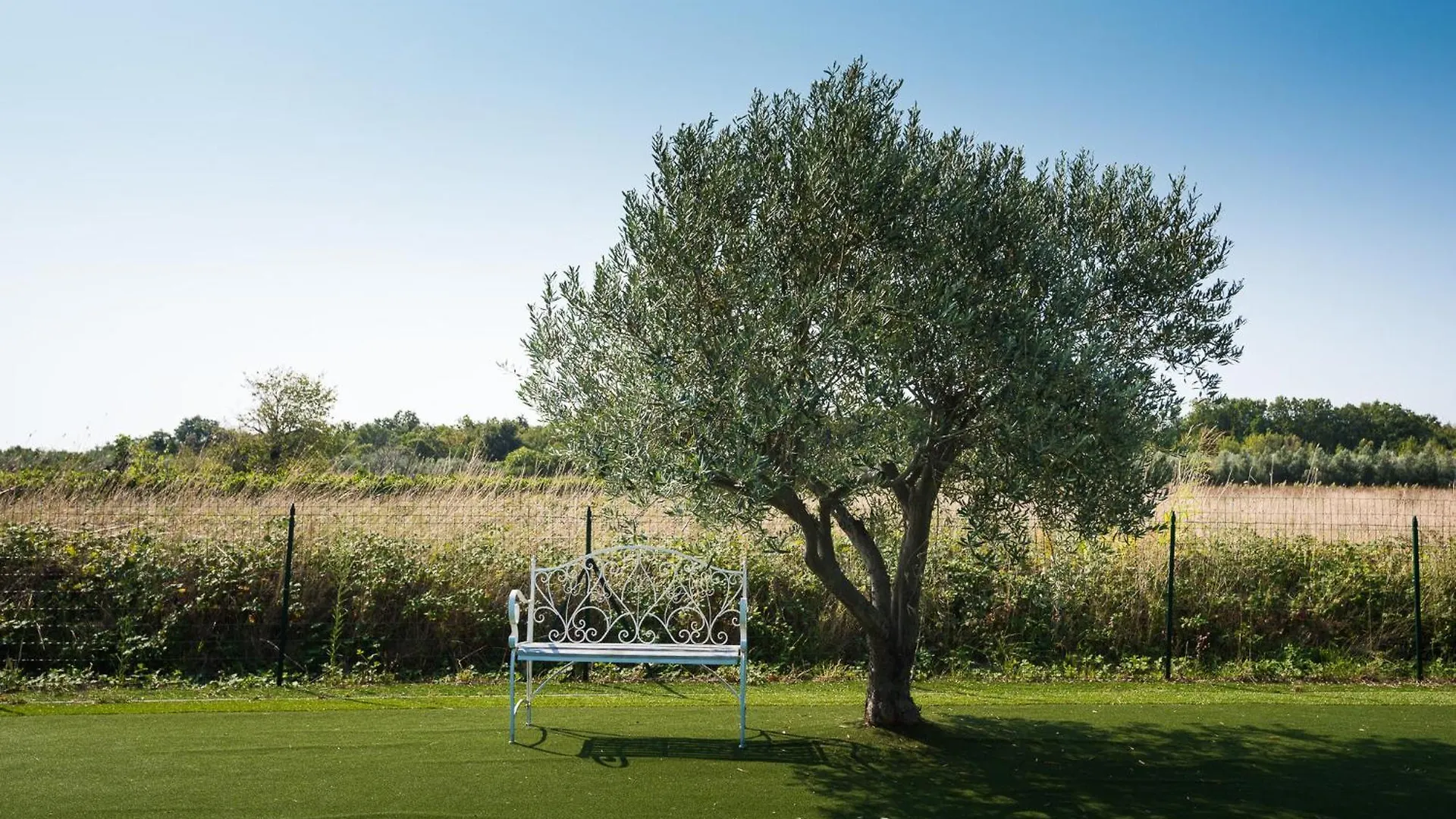 Campi Villa Marcana